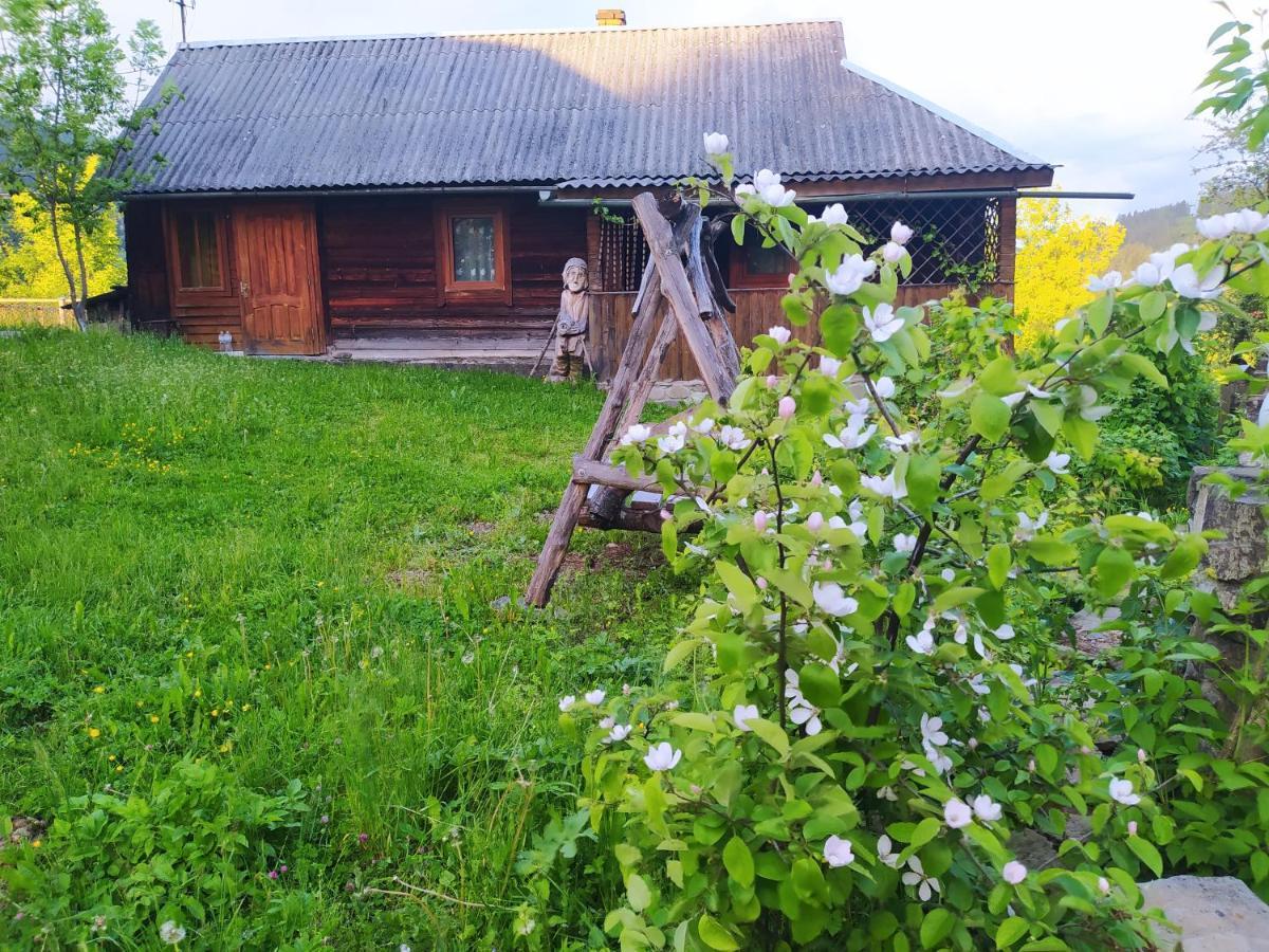 Starovitska Hata - Ethno-Cottage Верховина Екстериор снимка
