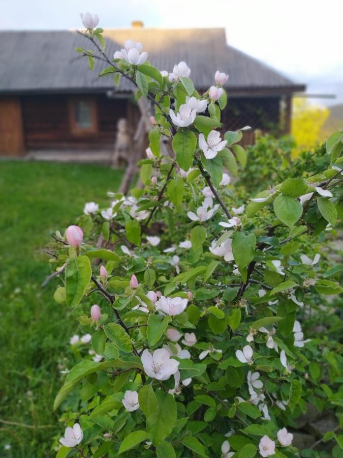 Starovitska Hata - Ethno-Cottage Верховина Екстериор снимка