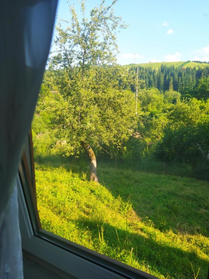 Starovitska Hata - Ethno-Cottage Верховина Екстериор снимка