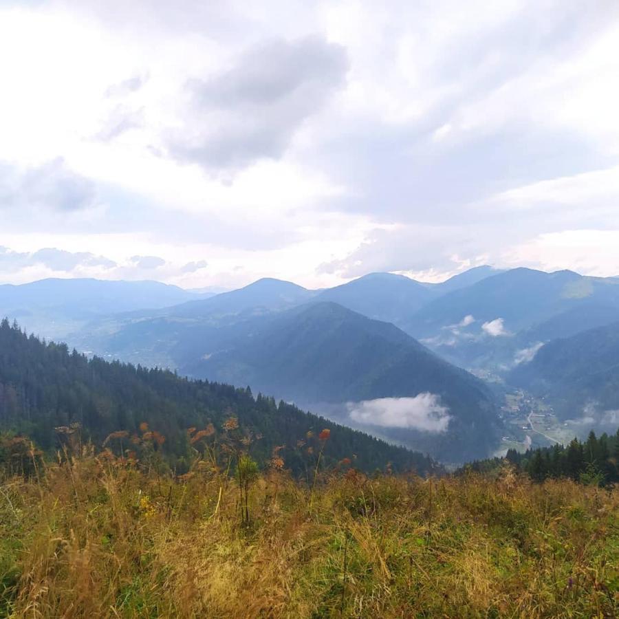 Starovitska Hata - Ethno-Cottage Верховина Екстериор снимка
