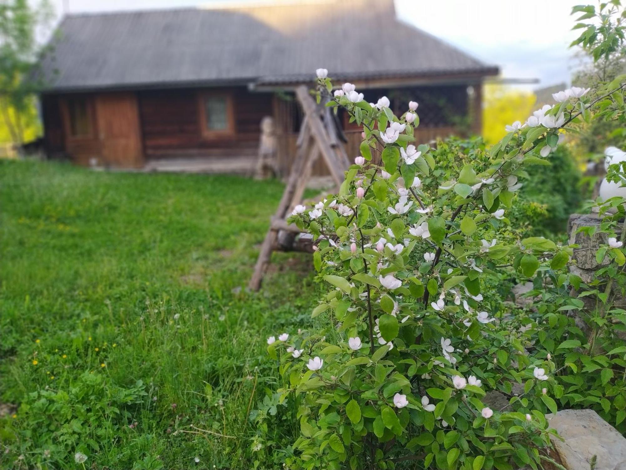 Starovitska Hata - Ethno-Cottage Верховина Екстериор снимка