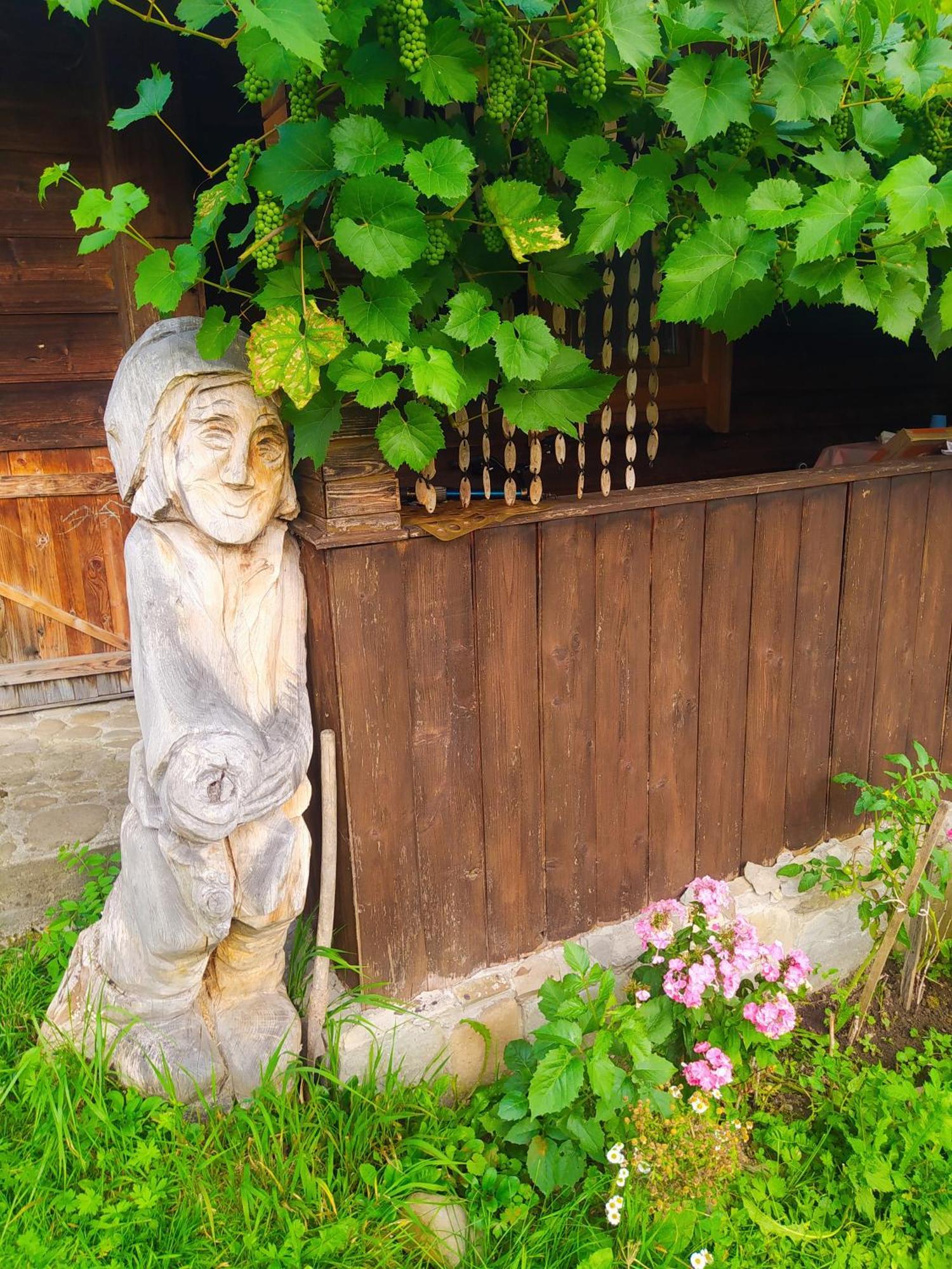 Starovitska Hata - Ethno-Cottage Верховина Екстериор снимка