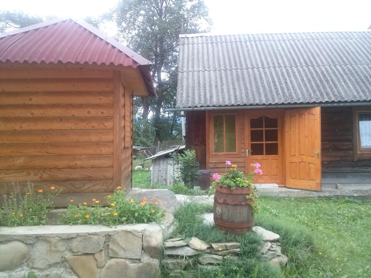 Starovitska Hata - Ethno-Cottage Верховина Екстериор снимка