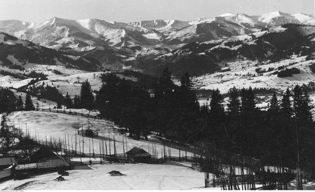 Starovitska Hata - Ethno-Cottage Верховина Екстериор снимка